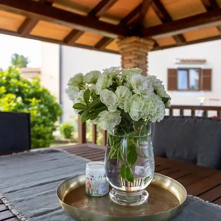 Gianni Apartment Porec